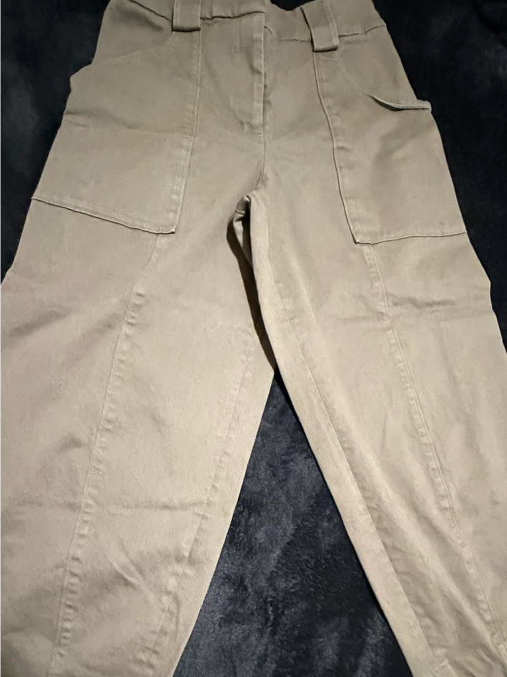 Express Olive Green Cargo Pants